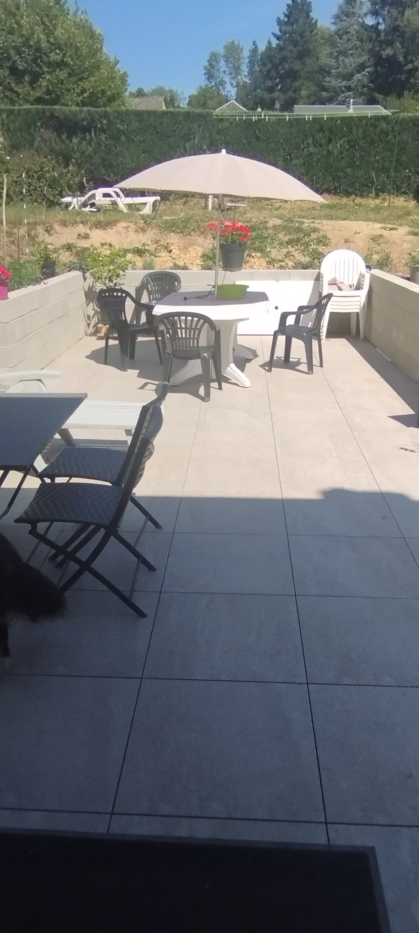 terrasse en dalle 2cm création terrasse sur plots